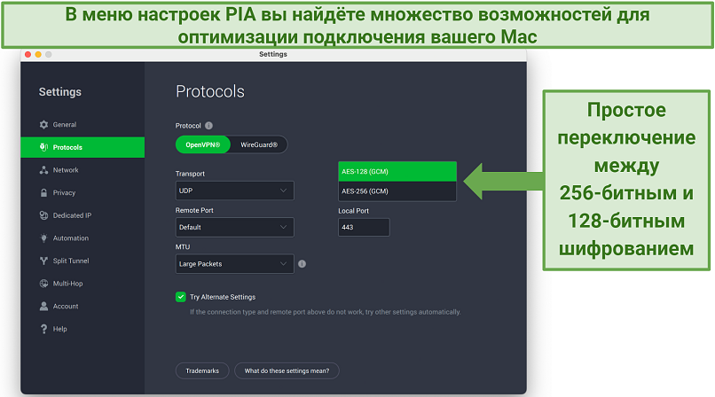 Screenshot showing how to toggle encryption levels on the PIA Settings menu