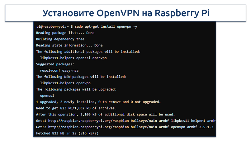 Screenshot of installing OpenVPN on Raspberry Pi