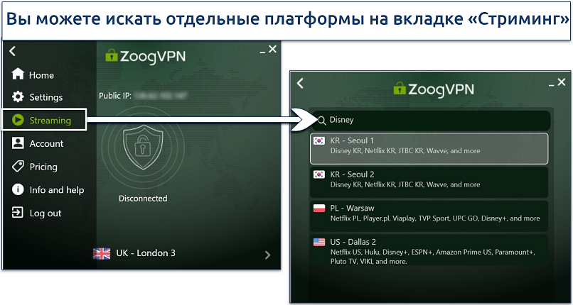 Скриншот приложения ZoogVPN для Windows с выделенной строкой поиска на вкладке Streaming